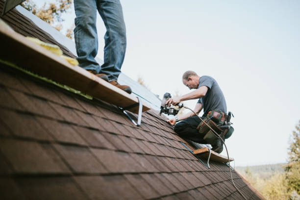 Best Local Roofing Companies  in Silver Lake, OH